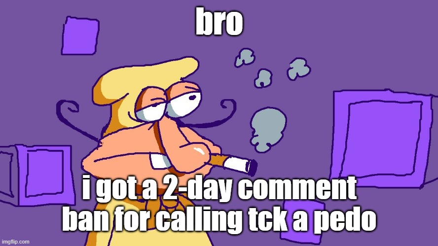 Noise du purple carré | bro; i got a 2-day comment ban for calling tck a pedo | image tagged in noise du purple carr | made w/ Imgflip meme maker