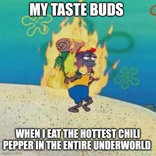 My taste buds are on fire and I don't care | MY TASTE BUDS; WHEN I EAT THE HOTTEST CHILI PEPPER IN THE ENTIRE UNDERWORLD | image tagged in spongebob on fire | made w/ Imgflip meme maker