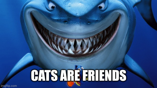 Bruce the Shark | CATS ARE FRIENDS | image tagged in bruce the shark | made w/ Imgflip meme maker