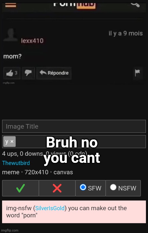 Bruh no you cant | image tagged in b | made w/ Imgflip meme maker