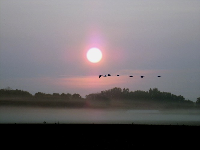 good morning! | image tagged in sun rise,fog,kewlew | made w/ Imgflip meme maker