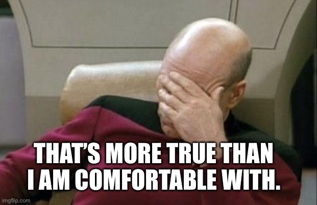 Captain Picard Facepalm Meme | THAT’S MORE TRUE THAN I AM COMFORTABLE WITH. | image tagged in memes,captain picard facepalm | made w/ Imgflip meme maker