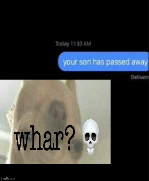 your son has passed away | image tagged in your son has passed away | made w/ Imgflip meme maker