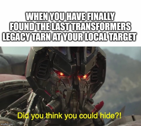 You found the last Tarn at Target | WHEN YOU HAVE FINALLY FOUND THE LAST TRANSFORMERS LEGACY TARN AT YOUR LOCAL TARGET | image tagged in did you think you could hide,transformers | made w/ Imgflip meme maker