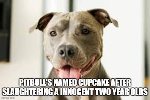 Saw it on youtube | PITBULL'S NAMED CUPCAKE AFTER SLAUGHTERING A INNOCENT TWO YEAR OLDS | image tagged in princess | made w/ Imgflip meme maker
