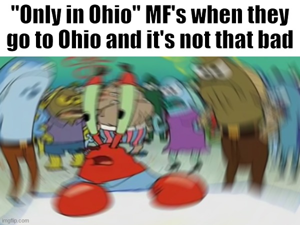 "OnLy In OhIo" | "Only in Ohio" MF's when they go to Ohio and it's not that bad | image tagged in only in ohio,ohio,barney will eat all of your delectable biscuits,lol,funny | made w/ Imgflip meme maker