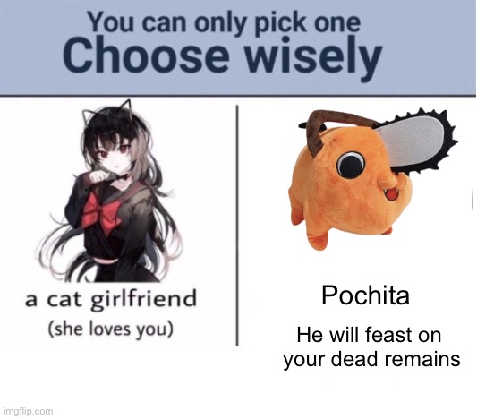 Choose wisely | Pochita; He will feast on
 your dead remains | image tagged in choose wisely | made w/ Imgflip meme maker