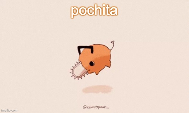 Pochita | pochita | image tagged in pochita | made w/ Imgflip meme maker