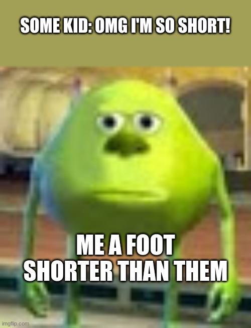 a | SOME KID: OMG I'M SO SHORT! ME A FOOT SHORTER THAN THEM | image tagged in sully wazowski,short people | made w/ Imgflip meme maker