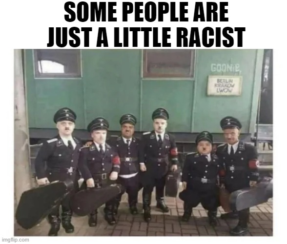 Did Nazi That | SOME PEOPLE ARE JUST A LITTLE RACIST | image tagged in dark humor | made w/ Imgflip meme maker