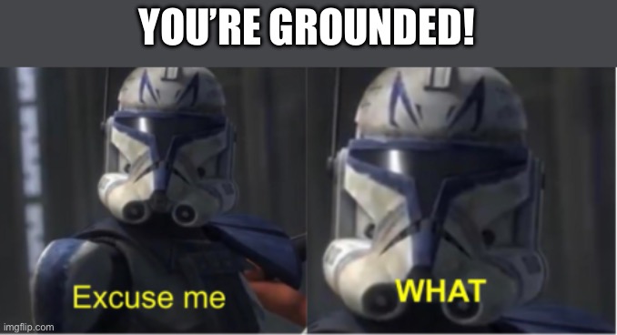 You’re Grounded! |  YOU’RE GROUNDED! | image tagged in excuse me what,grounded,clone trooper,clone wars,discipline | made w/ Imgflip meme maker