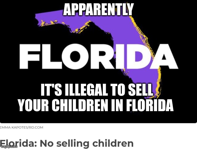 wow... what do i tell timmy now | APPARENTLY; IT'S ILLEGAL TO SELL YOUR CHILDREN IN FLORIDA | image tagged in funny | made w/ Imgflip meme maker