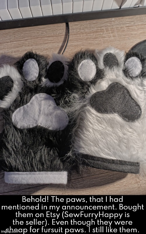 Took the photo rn because yea | Behold! The paws, that I had mentioned in my announcement. Bought them on Etsy (SewFurryHappy is the seller). Even though they were cheap for fursuit paws. I still like them. | made w/ Imgflip meme maker