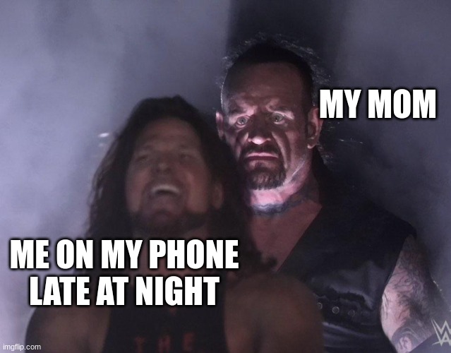 undertaker | MY MOM; ME ON MY PHONE LATE AT NIGHT | image tagged in undertaker | made w/ Imgflip meme maker