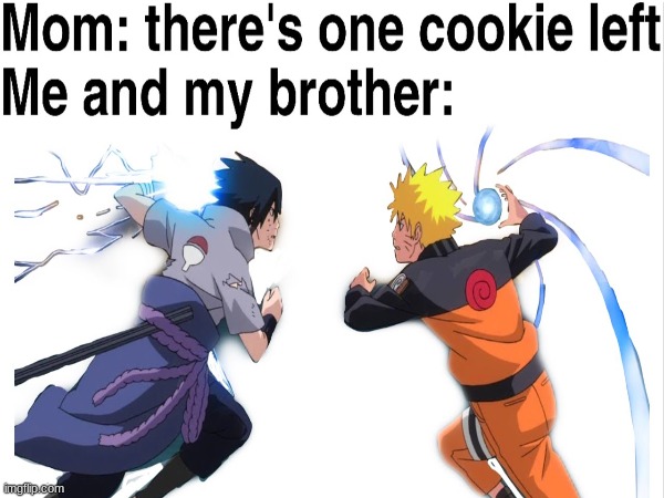 its true | image tagged in brothers | made w/ Imgflip meme maker