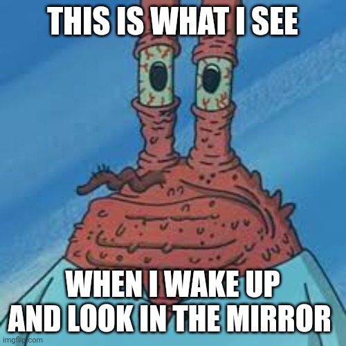 I look ugly in the morning | THIS IS WHAT I SEE; WHEN I WAKE UP AND LOOK IN THE MIRROR | image tagged in mr krabs | made w/ Imgflip meme maker