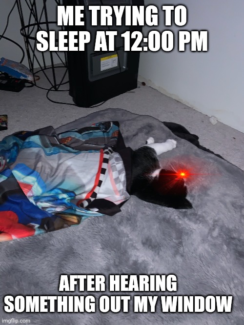 Angry Cat | ME TRYING TO SLEEP AT 12:00 PM; AFTER HEARING SOMETHING OUT MY WINDOW | image tagged in funny | made w/ Imgflip meme maker