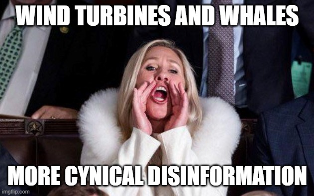 Marjorie Taylor Greene | WIND TURBINES AND WHALES MORE CYNICAL DISINFORMATION | image tagged in marjorie taylor greene | made w/ Imgflip meme maker