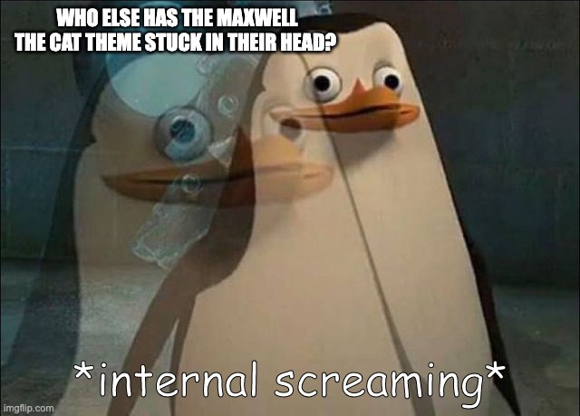 or is it just me who has it stuck in my head | WHO ELSE HAS THE MAXWELL THE CAT THEME STUCK IN THEIR HEAD? | image tagged in private internal screaming,yes | made w/ Imgflip meme maker