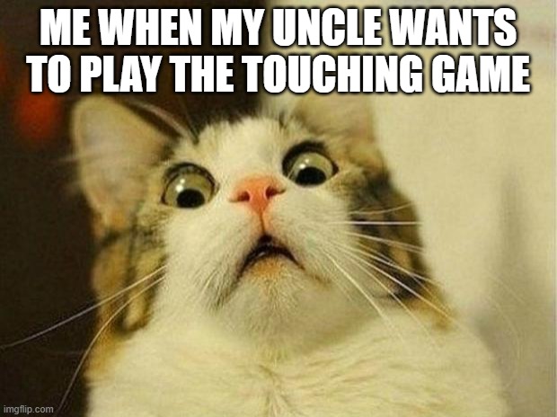whats that? | ME WHEN MY UNCLE WANTS TO PLAY THE TOUCHING GAME | image tagged in memes,scared cat,funny,dark humor | made w/ Imgflip meme maker