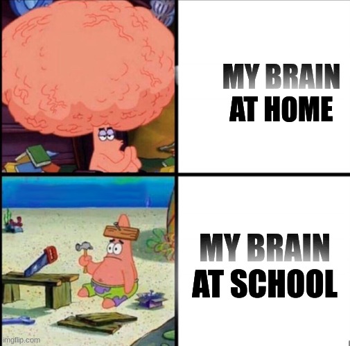 patrick big brain | MY BRAIN AT HOME MY BRAIN AT SCHOOL | image tagged in patrick big brain | made w/ Imgflip meme maker
