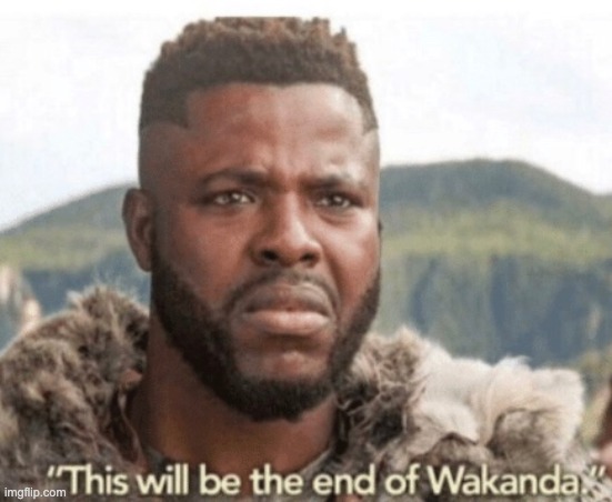 This will be the end of wakanda | image tagged in this will be the end of wakanda | made w/ Imgflip meme maker