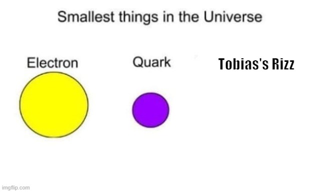 Smallest things in the universe | Tobias's Rizz | image tagged in smallest things in the universe | made w/ Imgflip meme maker