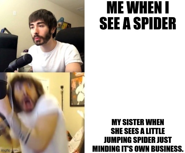 Penguinz0 | ME WHEN I SEE A SPIDER; MY SISTER WHEN SHE SEES A LITTLE JUMPING SPIDER JUST MINDING IT'S OWN BUSINESS. | image tagged in penguinz0 | made w/ Imgflip meme maker