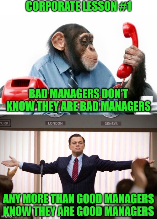 Get ready Gen-Z, you have a steep learning curve heading your way in the corporate world | CORPORATE LESSON #1; BAD MANAGERS DON'T KNOW THEY ARE BAD MANAGERS; ANY MORE THAN GOOD MANAGERS KNOW THEY ARE GOOD MANAGERS | image tagged in phonemonkey,wolf of wallstreet,manager,reality check,get ready for,corporations | made w/ Imgflip meme maker