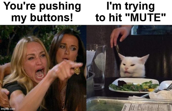 Woman Yelling At Cat Meme | You're pushing my buttons! I'm trying to hit "MUTE" | image tagged in woman yelling at cat,nagging wife,annoying people,annoyed,mute,funny memes | made w/ Imgflip meme maker