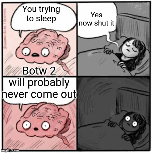 Funny zelda botw 2 | Yes now shut it; You trying to sleep; Botw 2 will probably never come out | image tagged in brain before sleep | made w/ Imgflip meme maker