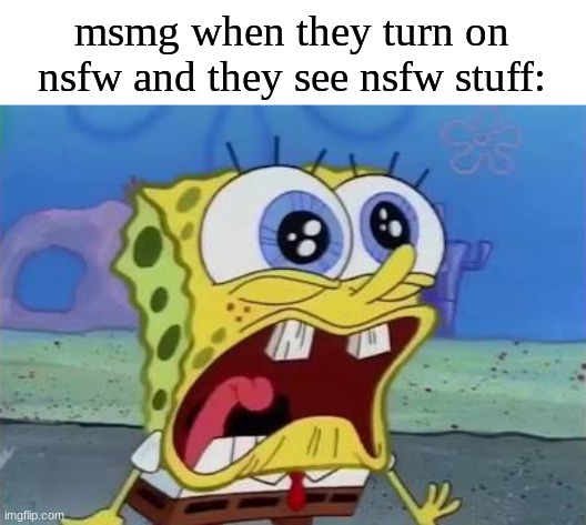 IT WAS SUPPOSED TO BE ANIME AND RAINBOWS AND UNICORNS | msmg when they turn on nsfw and they see nsfw stuff: | image tagged in spongebob crying/screaming | made w/ Imgflip meme maker