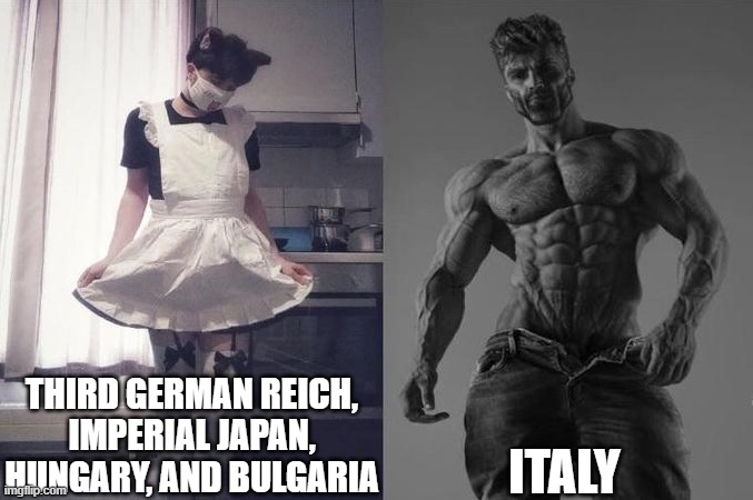 Strongest Fan VS Weakest Fan | THIRD GERMAN REICH, IMPERIAL JAPAN, HUNGARY, AND BULGARIA ITALY | image tagged in strongest fan vs weakest fan | made w/ Imgflip meme maker
