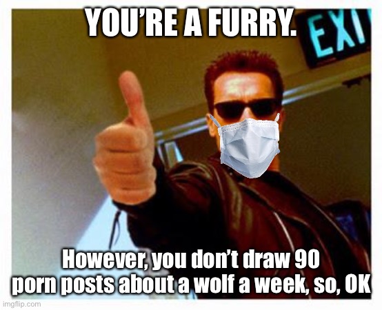 terminator thumbs up | YOU’RE A FURRY. However, you don’t draw 90 porn posts about a wolf a week, so, OK | image tagged in terminator thumbs up | made w/ Imgflip meme maker
