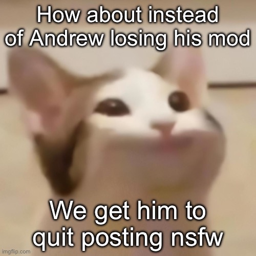 pop cat | How about instead of Andrew losing his mod; We get him to quit posting nsfw | image tagged in pop cat | made w/ Imgflip meme maker