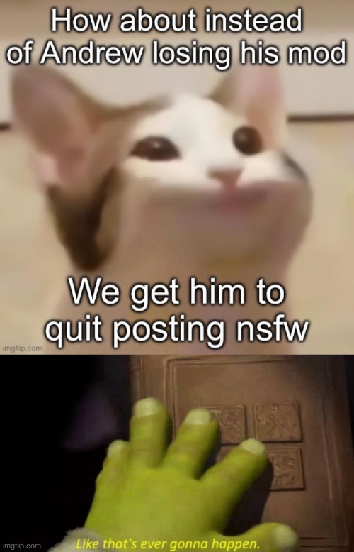 image tagged in like that's ever gonna happen | made w/ Imgflip meme maker