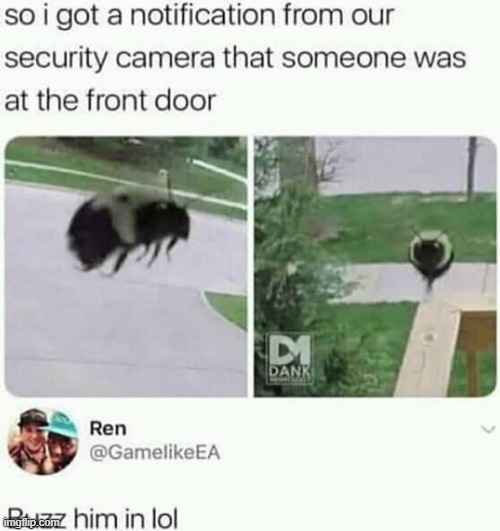 Buzz buzz him in | image tagged in wholesome,repost,buzz,wholesome content,memes,funny | made w/ Imgflip meme maker
