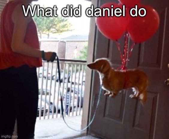 walkin me dog fr | What did daniel do | image tagged in walkin me dog fr | made w/ Imgflip meme maker