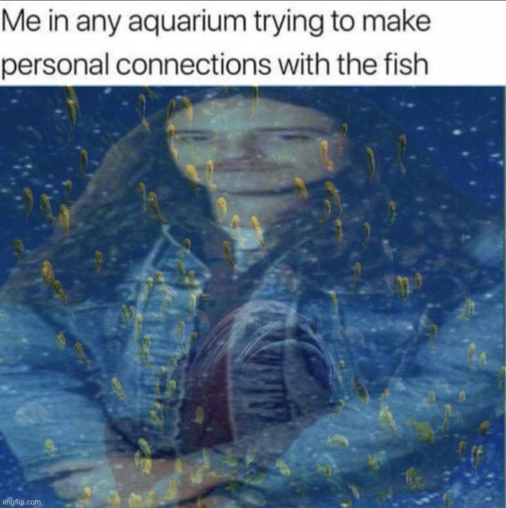 image tagged in memes,funny,repost | made w/ Imgflip meme maker