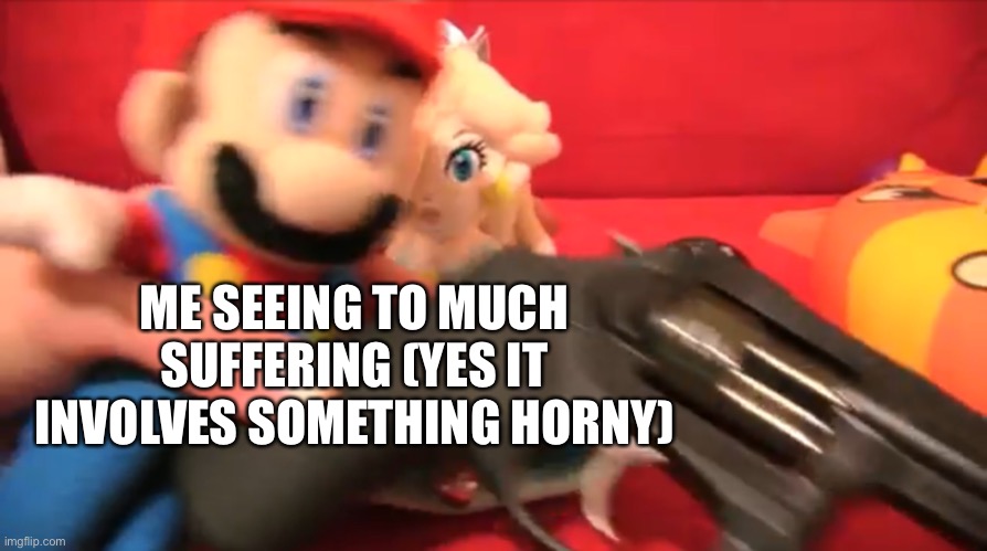Mario WTF?! SML | ME SEEING TO MUCH SUFFERING (YES IT INVOLVES SOMETHING HORNY) | image tagged in mario wtf sml | made w/ Imgflip meme maker
