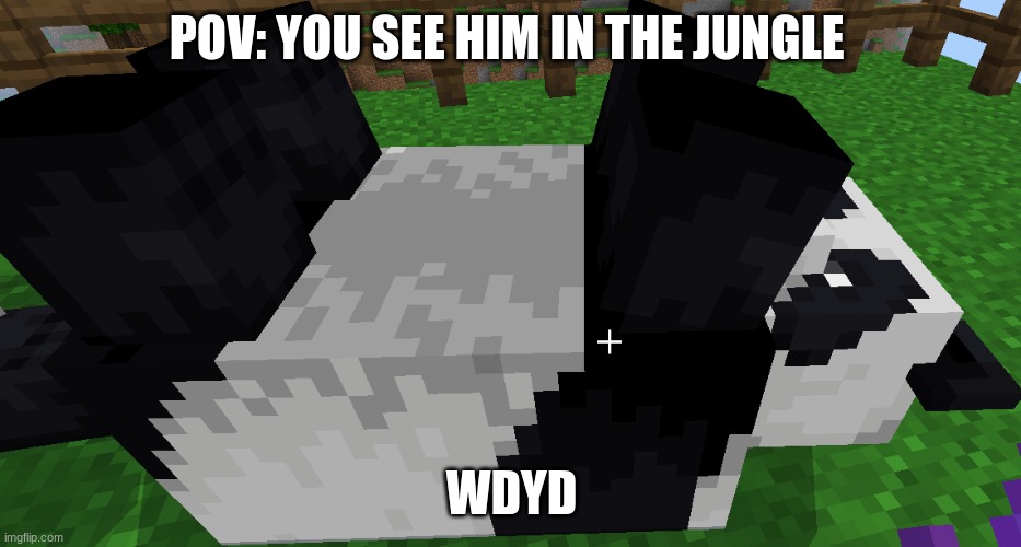 he es a simple dimple panda | POV: YOU SEE HIM IN THE JUNGLE; WDYD | image tagged in panda,minecraft,roleplaying | made w/ Imgflip meme maker