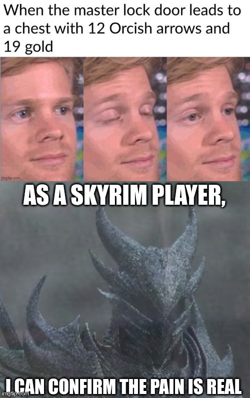 AS A SKYRIM PLAYER, I CAN CONFIRM THE PAIN IS REAL | image tagged in sad dragonborn | made w/ Imgflip meme maker