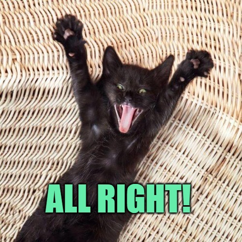 Happy cat  | ALL RIGHT! | image tagged in happy cat | made w/ Imgflip meme maker