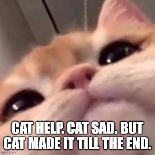 smug asf cat or shit idk im dumb | CAT HELP. CAT SAD. BUT CAT MADE IT TILL THE END. | image tagged in smug asf cat or shit idk im dumb | made w/ Imgflip meme maker