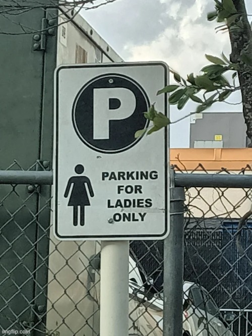 ladies only... | image tagged in signs,funny signs,funny,memes,sign,stupid signs | made w/ Imgflip meme maker