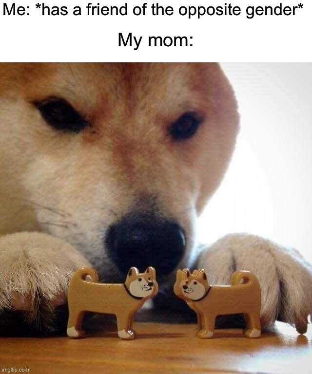 Literally why are moms like this (sisters and brother as well) | Me: *has a friend of the opposite gender*; My mom: | image tagged in dog now kiss,memes,funny,relatable memes,true story,school | made w/ Imgflip meme maker