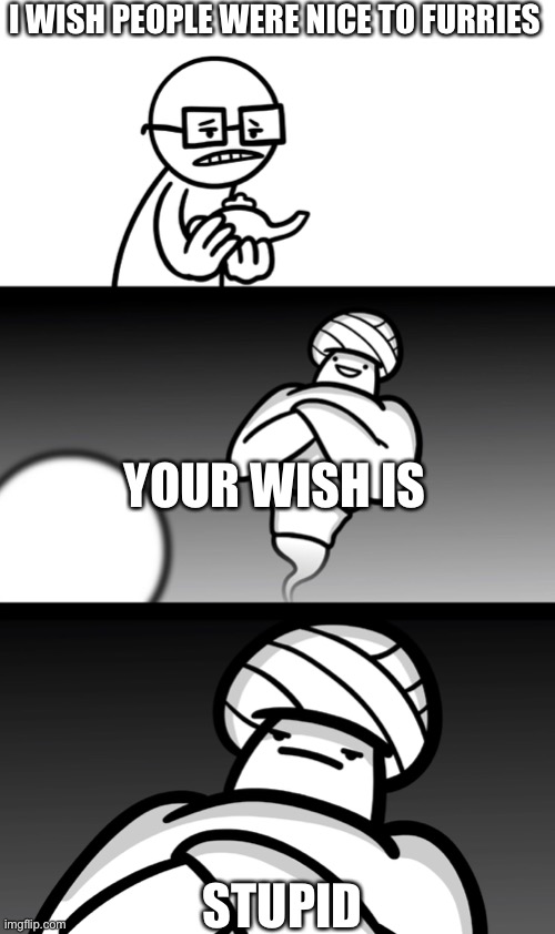 Your Wish is Stupid | I WISH PEOPLE WERE NICE TO FURRIES STUPID YOUR WISH IS | image tagged in your wish is stupid | made w/ Imgflip meme maker