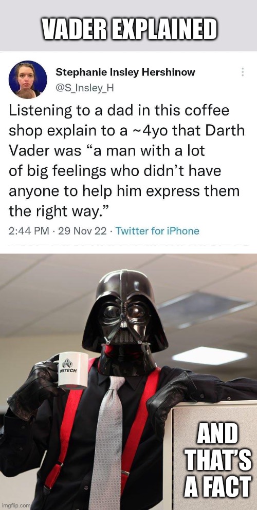 Vader Explained | VADER EXPLAINED; AND THAT’S A FACT | image tagged in darth vader office space,family,father,luke nooooo | made w/ Imgflip meme maker