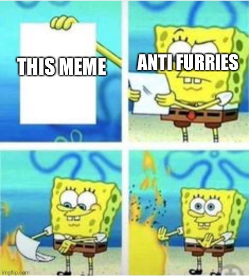 not true | THIS MEME ANTI FURRIES | image tagged in not true | made w/ Imgflip meme maker