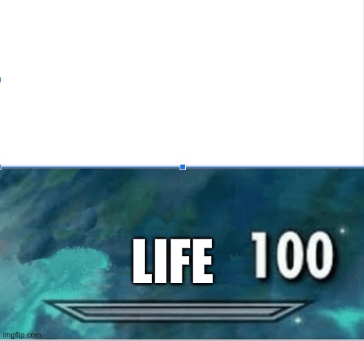 Skyrim Skill level | LIFE | image tagged in skyrim skill level | made w/ Imgflip meme maker